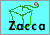 Zacca