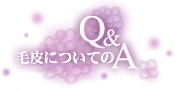 Q & A