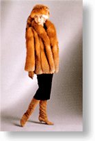 �C���[�W