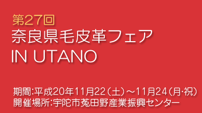 ��27��є�v�t�F�A IN UTANO